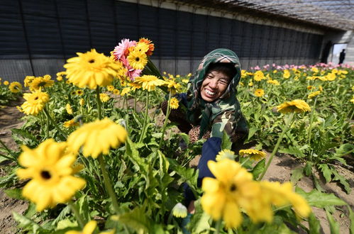 丰南 苗木花卉产业催开 美丽经济