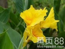 产品图234