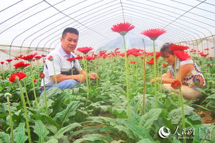 广西林科院 不忘初心牢记使命 解放思想再出发