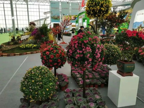苗会 美丽中国 建设美好安徽 2020合肥苗木花卉交易大会来啦