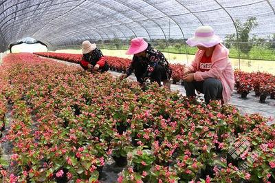 从移民小镇到产业强镇,赤壁这个镇一直走在奋斗的路上!