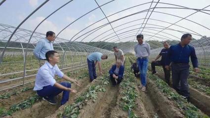 太出圈了,原来青春新农人可以这样做
