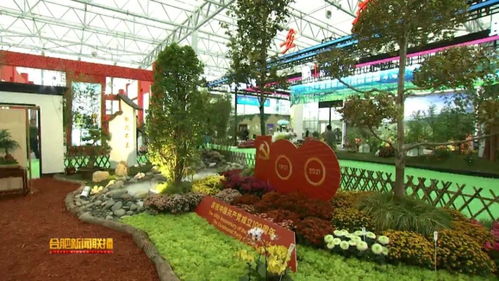 2021中国 合肥苗木花卉交易大会今天开幕