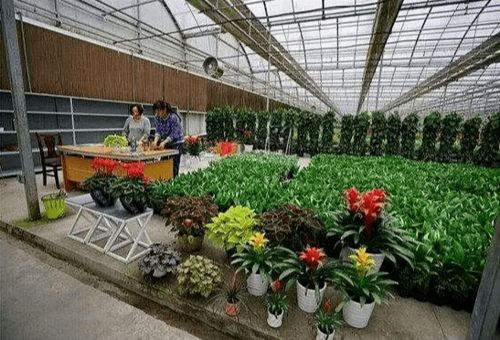 走街过市,在武汉街头遇见荆品名门