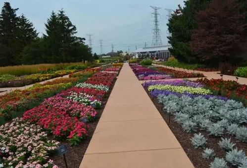 走访美国的花卉苗木园艺市场