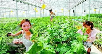 100种乡村旅游盈利方式总有一款适用你,请收藏好这个锦囊袋子
