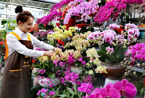 农信为美丽花卉浇灌 金融活水