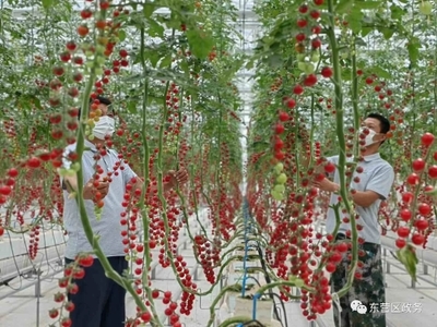 东营区人民政府 政务要闻 喜报!首批!牛庄镇成功入选
