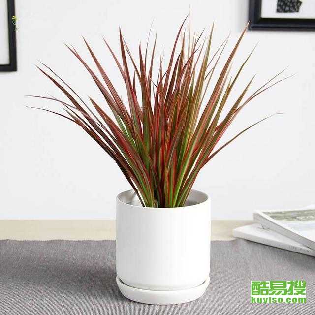 西安酷易搜